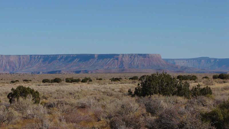 80-Arizona